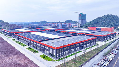 競逐運動賽道 安岳以鞋興業，跑出產業鏈發展新路徑